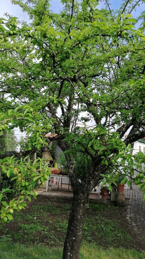 Hotel De Charme Casa Fundevila Вила Верде Екстериор снимка